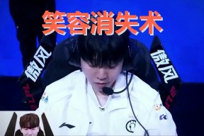 TheShy回归赛场，战术调整首场状态亮眼，德国队观众沸腾！的简单介绍